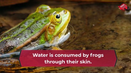 Did you know?|| Amazing Facts From Around The World(THIS IS CRAZY)||EP 2