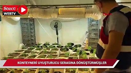 Konteyneri uyuşturucu serasına dönüştürmüşler