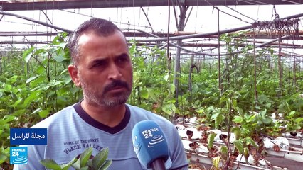 تونس.. المد والجزر يساعدان في الزراعة على الشواطئ