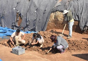 8 BİN YIL ÖNCESİNE AİT 'BALIK' FİGÜRÜ BULUNDU