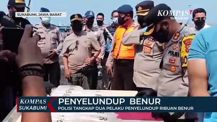 Polisi Tangkap Dua Pelaku Penyelundup Ribuan Benur