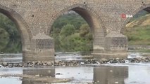 Dicle Nehri'nde balık ölümleri vatandaşları tedirgin etti