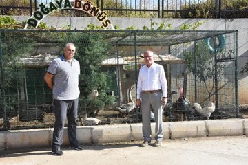 ÇİFTLİK GİBİ OKUL BAHÇESİ