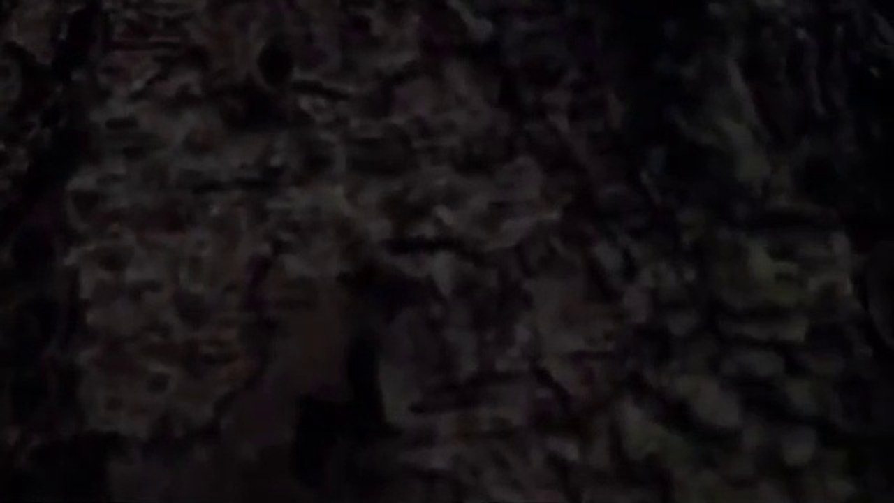 Lagu Barat beserta Lyrics