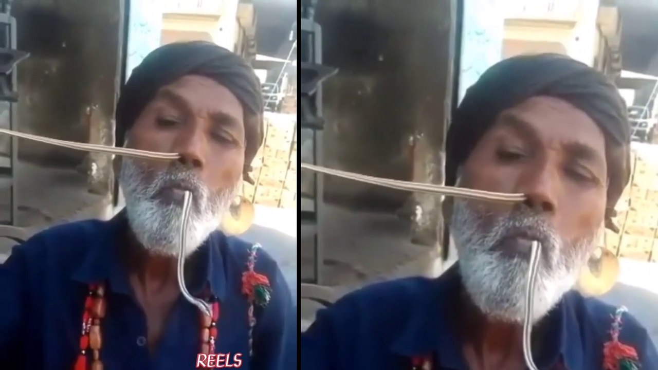 बुजुर्ग ने सांप को नाक में डालकर मुंह से निकाला । snake viral video । Vidyut Jammwal viral video । Vidyut Jammwal । viral video । social media viral video । snake rescue । snake status । snake status video ।snake stunt । snake status video whatsapp । supe
