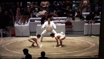 Le petit sumo qui surprend son adversaire