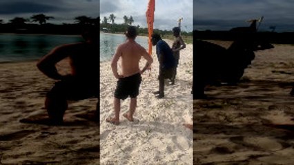 Croc Crawls Up for Food