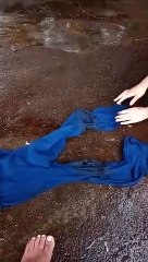 Descarga elétrica atinge quintal de residência no Jardim Tropical