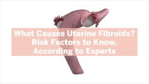 What Causes Uterine Fibroids? 5 Risk Factors to Know, According to Experts