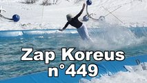 Zap Koreus n°449
