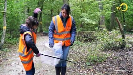 Sujet: Nettoyage du Bois-Carrien