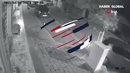 Otomobili park etmeye çalışırken kaldırımdaki ağacı devirdi