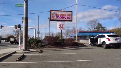 Dunkin' Has an Adorable Dog Costume for Halloween