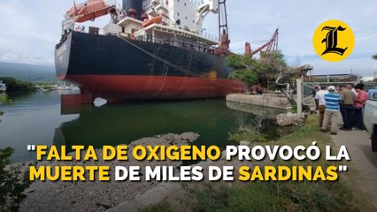 Falta de oxigeno provocó la muerte de miles de sardinas en Barahona, dice Medio Ambiente
