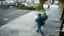 Flagrante: árvore cai em cima de motociclista em Maringá