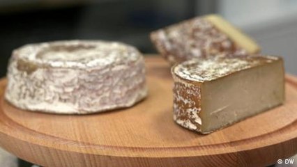 Vegan alternatives to cheese from Switzerland