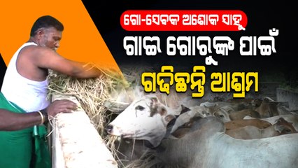 Special Story | Gau Seva, A Mission For This Odisha Man