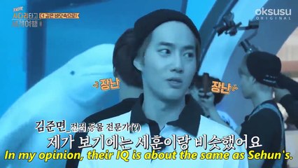 exo sharing one braincell because we are one