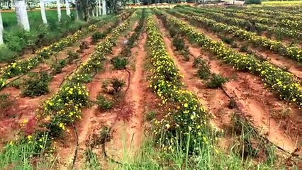 Nandi hills bangalore