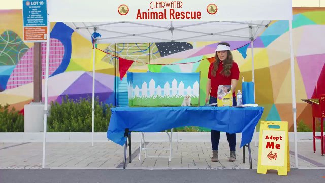 Cute and Funny Cat Videos to Keep You Smiling