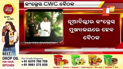 Congress Working Committee Meeting Today In New Delhi