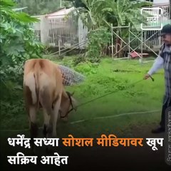 Dharmendra Shares Video Of His First Car Bought