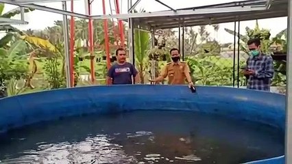 Raup Untung Budidaya Lele dengan Bioflok