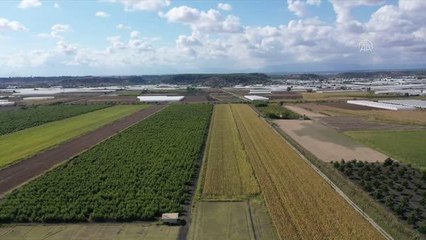 Antalya'nın tarımsal ürünleri "gıda güvenliği" hassasiyetiyle tüketiciye ulaşıyor
