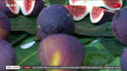 Değerlerin Daveti - Bursa Siyah İncir | 16 Ekim 2021