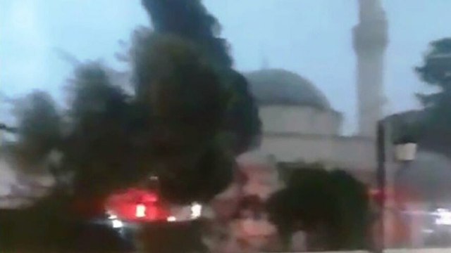 Dev ağaç böyle devrildi