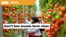 Putrajaya should withdraw decision banning Aussie farm visas, say MPs