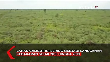Sering Terbakar, Lahan Gambut ini Disulap Jadi Tempat Latihan TNI