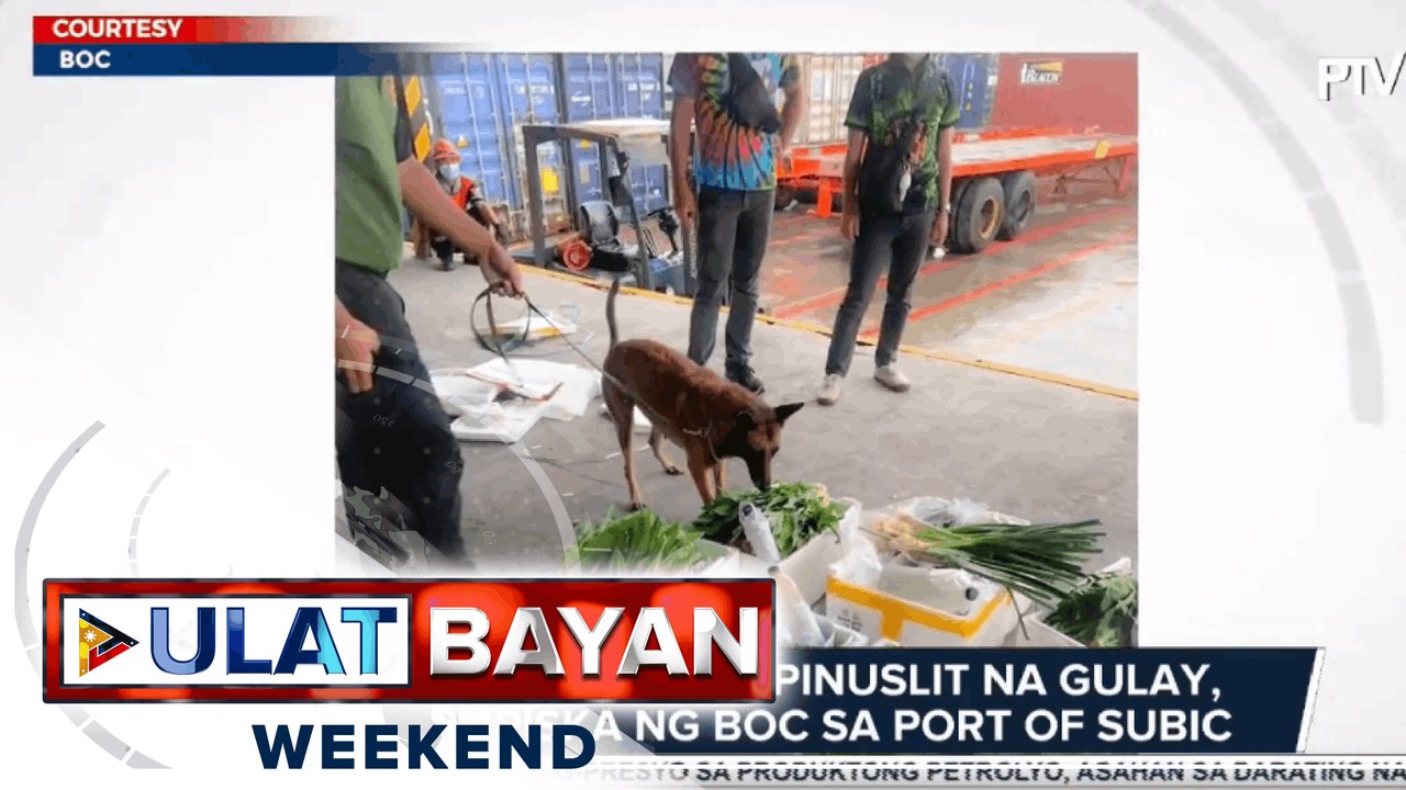 P15-M halaga ng ipinuslit na gulay, kinumpiska ng BOC sa port of Subic