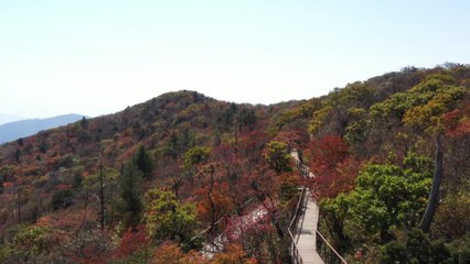 단풍 절정기에 한파...산 정상 초겨울 날씨 / YTN