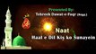 New Naat | Haal e Dil Kis Ko Sunayein | 12 Rabi-ul-Awal Naat 2021