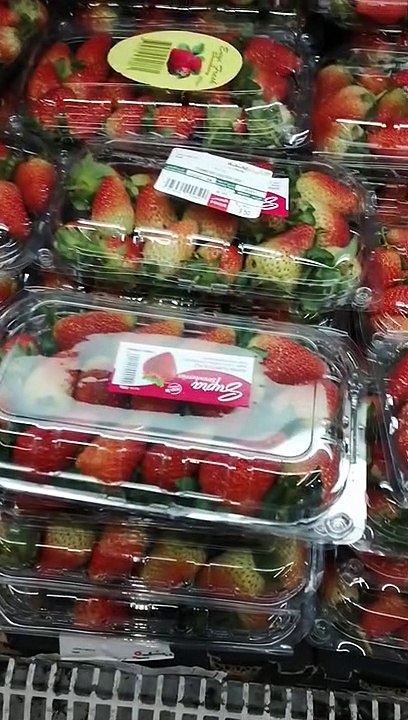 Saudi arab panda shopping mol