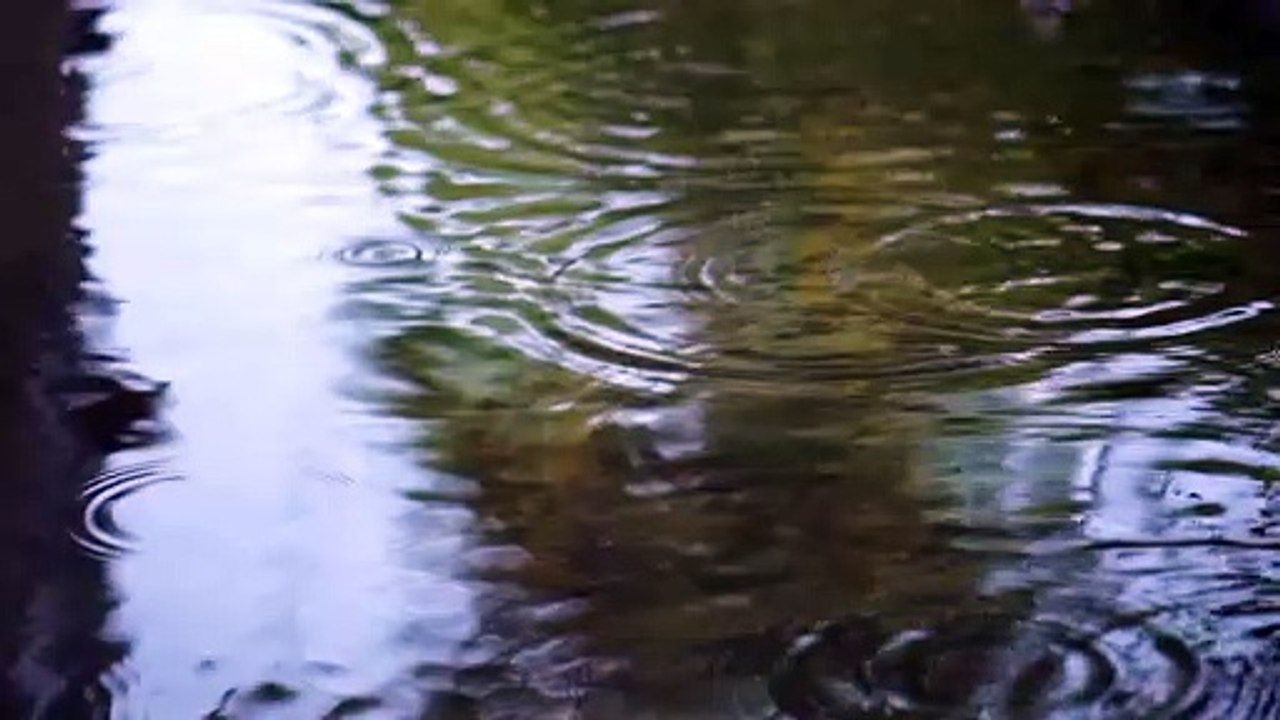 Natural, nature, rain