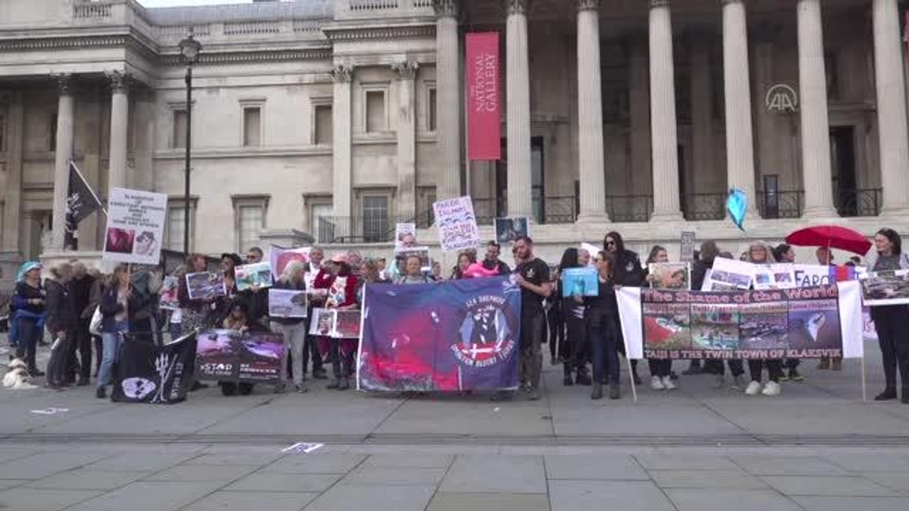 Faroe Adaları'ndaki yunus katliamı protesto edildi