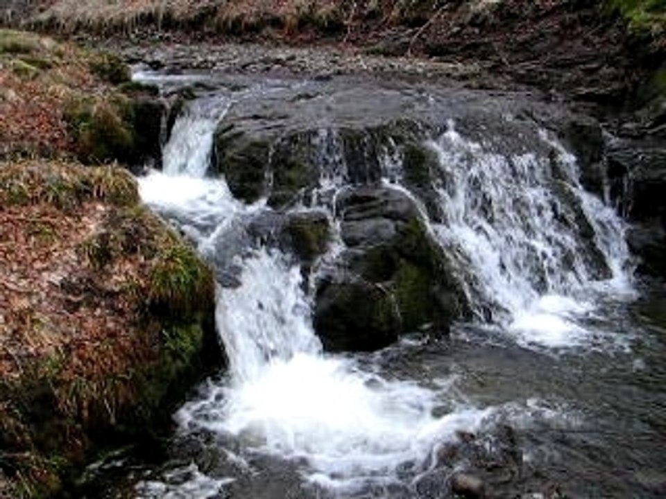 Picherande2