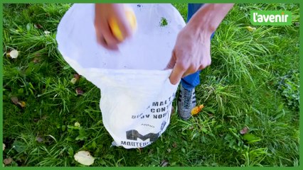 Fruitcollect récolte les fruits de vos jardins