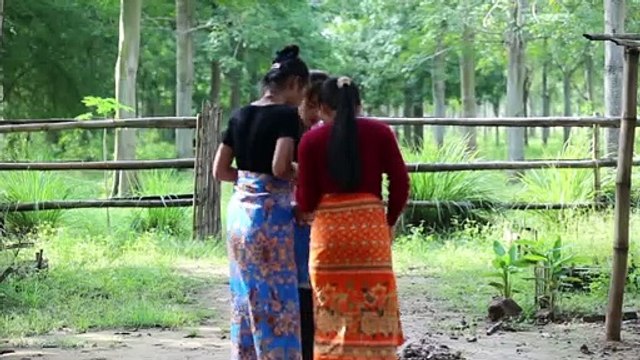 Traditional fishing in rice field and cook food for my family - Healthy food