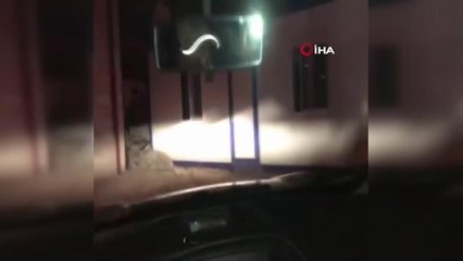 Tır garajına kaçak akaryakıt operasyonu