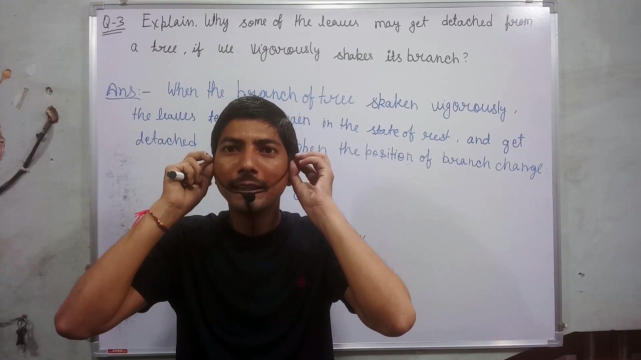 Explain why some of the leaves may get detached from a tree if we vigorously shake its branch | explain why some of the leaves may get detached | ped ki pattiya kyon ki jaati hai | Vigyan Chintan