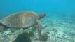 Galápagos, un tesoro natural en lucha contra los microplásticos