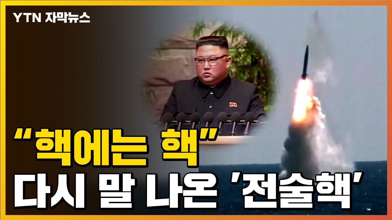 [자막뉴스] "우리도 北에 맞서야" 다시 불붙은 '전술핵' 재배치 논의 / YTN