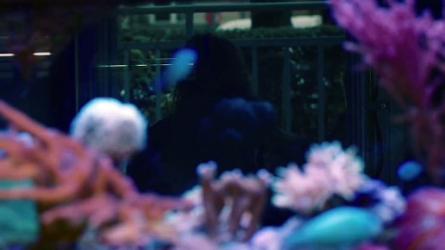 DRUCK S06E08 Full - Lightyears away