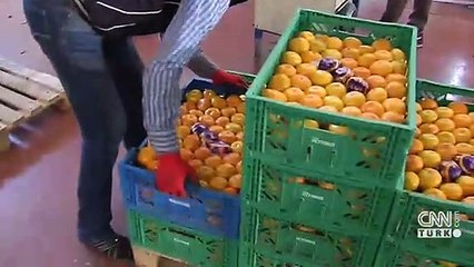 TZOB Başkanı: Tarımın sorunu girdi fiyatları