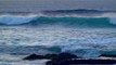 Sonidos Relajante de Olas de Mar y Gaviotas