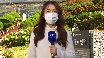 [날씨] 64년 만에 가장 추운 아침...낮에도 '쌀쌀' / YTN