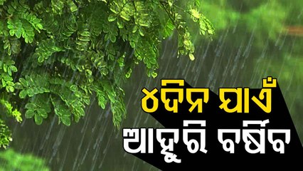 Odisha To Witness Rain For Next 4 Days Under The Effect Of Low Pressure